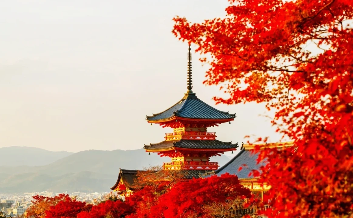 Greșeli frecvente într-un circuit în Japonia și cum le eviți (sfaturi de la experți)
